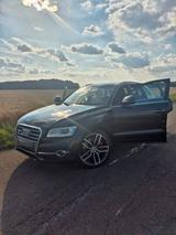 Audi SQ5 3.0 TDI plus tiptronic quattro - - Audi SQ5 in Köln