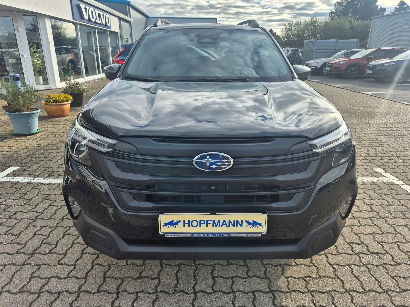 Subaru Forester - Bild 7
