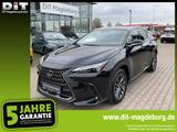 Lexus NX 350h Executive Line Inter. + Techno. -Paket - schwarze Lexus NX 350h