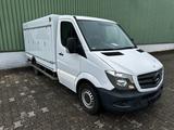 Mercedes-Benz Sprinter 313 CDI/ Carlsen*5+5*ICE*-40 Grad* - Mercedes-Benz Koffer C4 sprinter 313