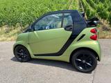 Smart ForTwo cabrio 1.0 52kW mhd passion passion - Smart ForTwo: Grün