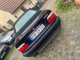 BMW  E 36 Cabrio 318i inkl. Hardtop Orient... - BMW: Hardtop E36