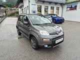 Fiat Panda Wild 4x4 0.9 Winterpaket Klima Alu DAB+ - Fiat Panda: Allradantrieb, Panda4x4