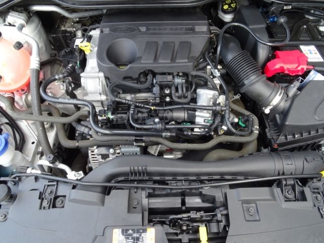 Fahrzeugabbildung Ford Fiesta 1.0 EcoBoost M-Hybrid ST-Line Sitzheizung