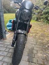 Triumph Trident 660 - TRIUMPH TRIDENT