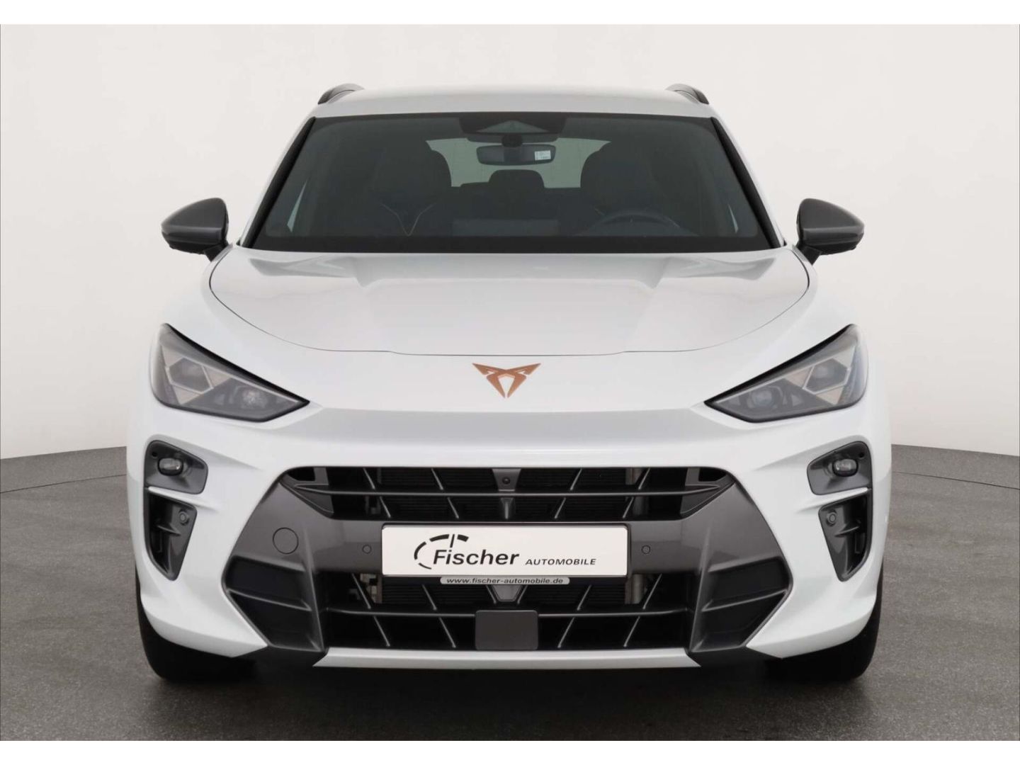 Cupra Terramar - Bild 3