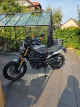Benelli Leoncino 800 Trail / Garantie / Neuzustand