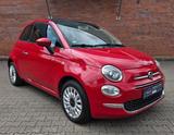 Fiat 500 Lounge Cabrio /  56. Tkm / - Fiat 500: Rot, C