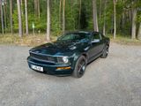 Ford Mustang Bullitt 4.6 V8 - Ford Mustang aus 2009