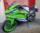 Kawasaki Ninja ZX-4RR 40th Anniversary Edition  - KAWASAKI NINJA ZX 4RR