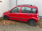 Fiat Panda TÜV bis 12/2025 - Fiat Panda Gebrauchtwagen in Bremen