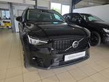 Volvo XC40 B4 Plus Dark ACC BLIS 360° Leder Pixel-LED - Volvo XC40 in Dresden