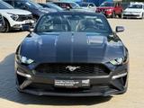 Ford Mustang GT Convertible FIFTY FIVE YEARS - Ford Mustang: Cabrio