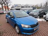 Skoda Fabia Active 5-Tür - Skoda Fabia: Active