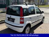 Fiat Panda 1.2 8V MyLive !! Klima !! Tüv-Neu !! - Fiat Panda: My