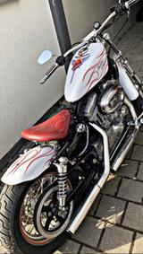 Harley-Davidson Sportster 883  - Angebote entsprechen deinen Suchkriterien