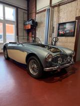 Austin Healey BN4 Vollrestauration - Austin Healey: Bn4