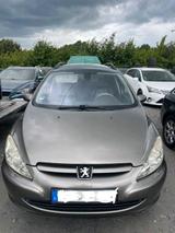 Peugeot Verkaufe Peugeot 307 SW - Peugeot 307 aus 2004: 307sw