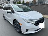 Honda Odyssey 3.5L V6  2023 Elite - Honda Odyssey mit Benzin-Antrieb
