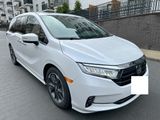 Honda Odyssey 3.5L V6  2023 Elite - Honda: Odysse