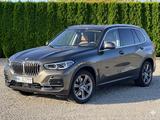 BMW X5 xDrive 40 d/ACC/360/LASER/M-Bremsa - BMW X5: Grün
