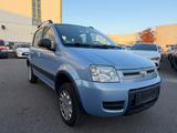 Fiat Panda 1.2 8V Climbing 4X4 - Fiat Panda: Allradantrieb, Climbing