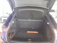 Cupra Terramar - Vorschau Bild 6