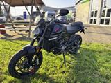 Ducati Monster Dark - DUCATI MONSTER DARK