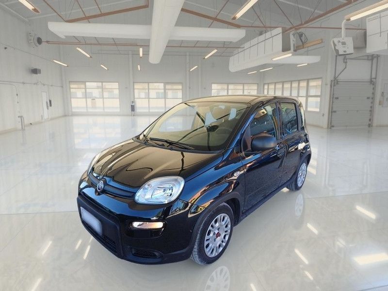 Image of Fiat Panda