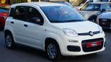 Fiat Panda TÜV AU NEU*KLIMA*USB*ISOFIX*EURO6* - gebrauchte Fiat Panda aus dem Jahr 2019