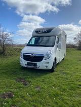 Opel Pferdetransporter STX Movano, Netto: 27.000,-€,  - Tier- & Pferdetransport für 2 Pferde