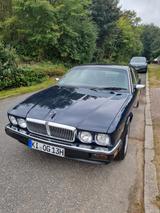 Jaguar XJ40 - Jaguar XJ40 von privat