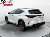 Lexus NX 350h E-FOUR Luxury Line *PANO* Mark Levinson - Lexus NX Luxury-Line