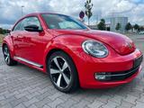 Volkswagen Beetle 1.4 TSI Sport Leder Navi Klima Bi-Xenon - Volkswagen Beetle: Rot