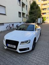 Audi MTM S5 Cabrio 430 PS Vollaus. TÜV/ Service neu - Audi S5 in München
