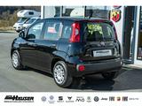 Fiat Pandina ICON Hybrid 1.0 GSE TEMPOMAT PDC LANE KL - Fiat New Panda Benziner Gebrauchtwagen