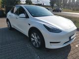 Tesla Model Y RWD wenig Km - Tesla Model Y in Köln