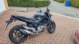 Suzuki SFV650A Gladius mit AndroidAuto/CarPlay Display - Offers matching your search criteria
