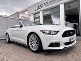 Ford Mustang Cabrio 3,8 V6  227 KW LEDER Automatik - Ford Mustang: Cabrio, V6