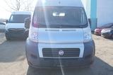 Fiat Ducato Maxi Hochr.-Kasten 35 120 Klima - Fiat Ducato in Mainz