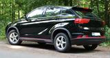DFSK Fengon 500 - DFSK Gebrauchtwagen in Duisburg