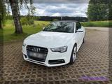 Audi S5 3.0 TFSI S tronic quattro Cabriolet -