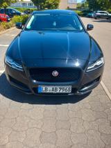 Jaguar XF 20d AWD 180PS Portfolio Automatik Portfolio - Jaguar XF in Stuttgart