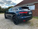 Jaguar F-Pace F-PACE Portfolio AWD/PANO/NAVI/KAMM/LED - mit Diesel-Antrieb: Spurhalteassistent, Geländewagen