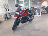 Triumph Tiger Explorer - Offers