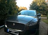 Jaguar E-Pace - Jaguar E-Pace von privat