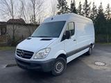 Mercedes-Benz Sprinter 213 CDI  aus 1-Hand L2 H2 HU/AU NEU! - Mercedes-Benz Sprinter aus 2008 mit Diesel-Antrieb