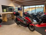 Honda Forza 125 *Service und TÜV neu - Offers matching your search criteria