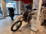 Honda CRF300 Swift Gray *sofort verfügbar* - HONDA MOTORRAD