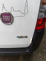 Fiat Fiorino,Klima,Benzin,GasCNG,Sitzhzg.el.FH,ZV,LKW - Fiat: Fiori